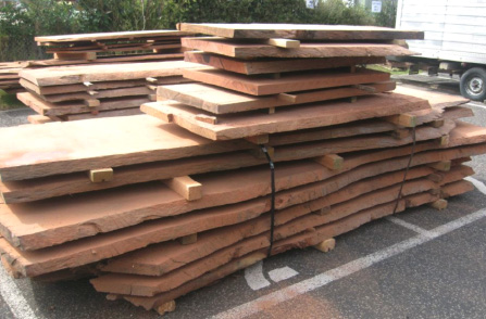 River Red Gum